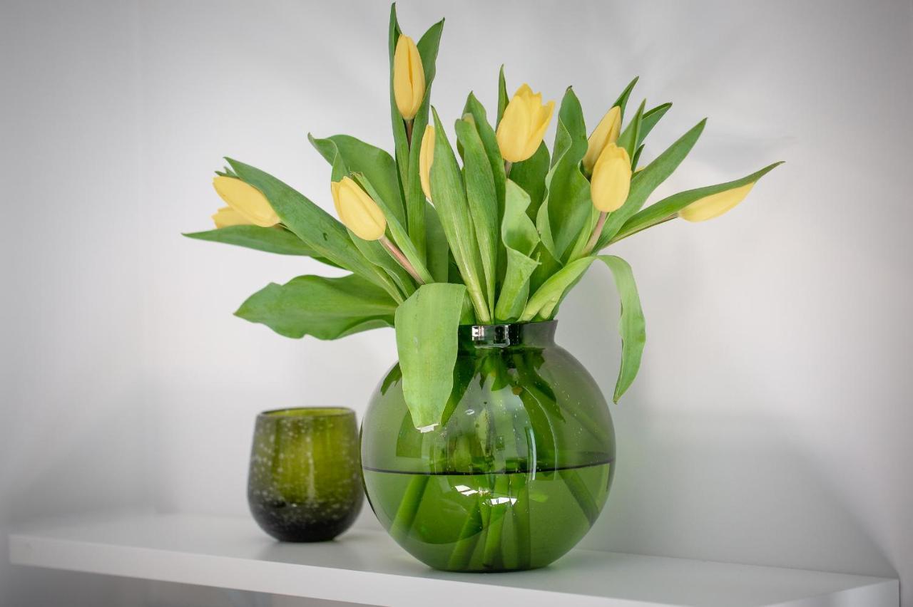 Apartament Ksiezycowy - Mlyn Maria - Art Apartments Wroclaw Luaran gambar